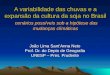 A variabilidade das chuvas e a expansão da cultura da soja no Brasil cenários possíveis sob a hipótese das mudanças climáticas João Lima SantAnna Neto
