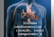 Sistema cardiovascular â€“ cora§£o, vasos sanguineos e sangue