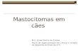 Mastocitomas em cães M.V. Vívian Rocha de Freitas Aluna de especialização em clínica e cirurgia de pequenos animais da UFV