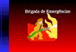 Brigada de Emergências CURSO BÁSICO DE PREVENÇÃO DE INCÊNDIOS