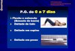 Prof. Alexandre Souza Disciplina de Métodos de Tratamento da Coluna Vertebral e Postura