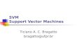 SVM Support Vector Machines Ticiano A. C. Bragatto bragatto@ufpr.br
