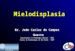 Mielodisplasia Dr. João Carlos de Campos Guerra Departamento de Patologia Clínica - HIAE Centro de Hematologia de São Paulo - CHSP