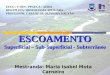 ESCOAMENTO Superficial – Sub-Superficial - Subterrâneo Mestranda: Maria Isabel Mota Carneiro UFCG / CTRN / PPGECA / AERH DISCIPLINA: HIDROLOGIA APLICADA