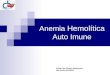 Anemia Hemolítica Auto Imune Zuleica de Oliveira Apparecido São Paulo 5/12/2005