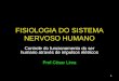 1 FISIOLOGIA DO SISTEMA NERVOSO HUMANO Controle do funcionamento do ser humano através de impulsos elétricos Prof.César Lima