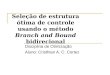 Seleção de estrutura ótima de controle usando o método Branch and Bound bidirecional Disciplina de Otimização Aluno: Cristhian A. C. Cortez