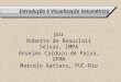 Introdução à Visualização Volumétrica por Roberto de Beauclair Seixas, IMPA Anselmo Cardoso de Paiva, UFMA Marcelo Gattass, PUC-Rio