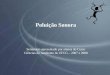 Polui§£o Sonora Seminrio apresentado por alunos do Curso Cincias do Ambiente da UFCG â€“ 2007 e 2008