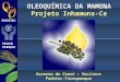 OLEOQUÍMICA DA MAMONA Projeto Inhamuns-Ce Governo do Ceará – Secitece Padetec-Tecnoparque