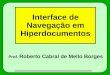 1 Interface de Navegação em Hiperdocumentos Prof. Roberto Cabral de Mello Borges