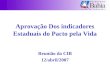 Aprovação Dos indicadores Estaduais do Pacto pela Vida Reunião da CIB 12/abril/2007