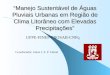 Manejo Sustentável de Águas Pluviais Urbanas em Região de Clima Litorâneo com Elevadas Precipitações UFPE-FINEP-PROSAB-CNPq Coordenador: Jaime J. S. P