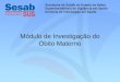 Módulo de Investigação do Óbito Materno Secretaria de Saúde do Estado da Bahia Superintendência de Vigilância em Saúde Diretoria de Informação em Saúde