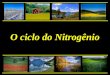 O ciclo do Nitrogênio. Introdução O Nitrogênio compõe 78% dos gases da atmosfera A maioria do N do solo ligada a MO Quarto elemento mais abundante nas