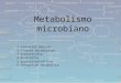 Metabolismo microbiano 1.Conceitos básicos 2.Classes microbianas 3.Quimiotrofia 4.Fototrofia 5.Quimiolitotróficos 6.Integração metabólica