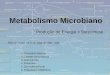 Metabolismo Microbiano 1.Conceitos básicos 2.Classes microbianas 3.Quimiotrofia 4.Fototrofia 5.Quimiolitotróficos 6.Integração metabólica Produção de Energia