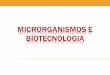 Microrganismos como elementos-chave em processos biotecnológicos Microbiologia industrial = otimização de certas reações para produção de compostos de