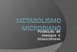 Produção de energia e biossíntese 1. 1. Introdução Metabolismo: toda a atividade química realizada por um organismo e seu maquinário. toda a atividade