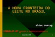 Copyright 2008 1 A NOVA FRONTEIRA DO LEITE NO BRASIL Eldor Sontag SINDILAT-MT SINDICATO DA INDÚSTRIA DE LATICÍNIOS DE MT