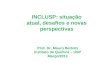 INCLUSP: situação atual, desafios e novas perspectivas Prof. Dr. Mauro Bertotti Instituto de Química – USP Março/2013