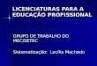 LICENCIATURAS PARA A EDUCAÇÃO PROFISSIONAL GRUPO DE TRABALHO DO MEC/SETEC Sistematização: Lucília Machado