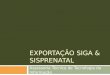 EXPORTAÇÃO SIGA & SISPRENATAL Assessoria Técnica de Tecnologia da Informação