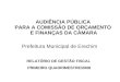 AUDIÊNCIA PÚBLICA PARA A COMISSÃO DE ORÇAMENTO E FINANÇAS DA CÂMARA Prefeitura Municipal de Erechim RELATÓRIO DE GESTÃO FISCAL PRIMEIRO QUADRIMESTRE/2008