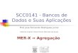SCC0141 - Bancos de Dados e Suas Aplicações Prof. Jose Fernando Rodrigues Junior Material original: Elaine Parros Machado de Sousa MER-X Agregação