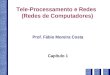 Tele-Processamento e Redes (Redes de Computadores) Prof. Fábio Moreira Costa Capítulo 1