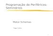 1 Programação de Periféricos: Seminários Motor Schemas Tiago Cunha