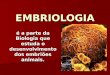 EMBRIOLOGIA é a parte da Biologia que estuda o desenvolvimento dos embriões animais