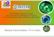 Universidade Federal do Amapá Pró-reitoria de Pós-graduação e Pesquisa Curso de especialização em Mídias na Educação Módulo Intermediário: TV e Vídeo