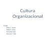 Cultura Organizacional Grupo: Eliseu T. Júnior Felipe S. Alves Fernando Nass Giovana T. Dias