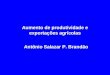 Aumento de produtividade e exportações agrícolas Antônio Salazar P. Brandão