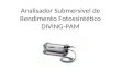 Analisador Submersível de Rendimento Fotossintético DIVING-PAM
