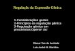 Regulação da Expressão Gênica Edmar Vaz de Andrade Luis André M. Mariúba 1-Considerações gerais 2-Princípios da regulação gênica 3-Regulação gênica em