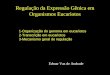 Regulação da Expressão Gênica em Organismos Eucariotos Edmar Vaz de Andrade 1-Organização do genoma em eucariotos 2-Transcrição em eucariotos 3-Mecanismo