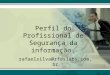 Perfil do Profissional de Segurança da informação. rafaelsilva@rfdslabs.com.br