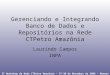 Gerenciando e Integrando Banco de Dados e Repositórios na Rede CTPetro Amazônia Laurindo Campos INPA II Workshop da Rede CTPetro Amazônia – 27-30 de Novembro
