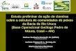 Estudo preliminar da ação de clareiras sobre a estrutura de comunidades de peixes da Bacia do Rio Urucu (Base Operacional Geólogo Pedro de Moura, Coari