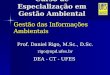 Gestão das Informações Ambientais Prof. Daniel Rigo, M.Sc., D.Sc. rigo@npd.ufes.br DEA - CT - UFES Curso de Especialização em Gestão Ambiental