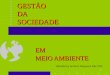 1 GESTÃO DA SOCIEDADE EM MEIO AMBIENTE Wanderley Antonio Nogueira MSc PhD