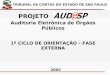 X Auditoria Eletrônica de Órgãos Públicos 1º CICLO DE ORIENTAÇÃO – FASE EXTERNA 2005 TRIBUNAL DE CONTAS DO ESTADO DE SÃO PAULO PROJETO