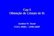 Cap 5 Obtenção de Cristais de Si Jacobus W. Swart CCS e FEEC - UNICAMP