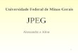 1 Universidade Federal de Minas Gerais JPEG Alessandra e Aline