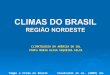 CLIMATOLOGIA DA AMÉRICA DO SUL PROFa MARIA ELISA SIQUEIRA SILVA Tempo e Clima no Brasil Cavalcanti et al. (2009) Ed. Oficina de Textos