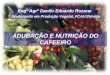 Engº Agrº Danilo Eduardo Rozane Doutorando em Produção Vegetal, FCAVJ/Unesp ADUBAÇÃO E NUTRIÇÃO DO CAFEEIRO