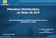 19 de Novembro de 2004 Petrobras Distribuidora no Setor de GLP Busca de ampliação da eficiência operacional e foco no atendimento ao cliente Luiz Rodolfo