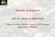 Nutrição de mangueira Prof. Dr. Renato de Mello Prado Depto. de Solos e Adubos, Unesp, FCAV, Campus Jaboticabal – BRASIL